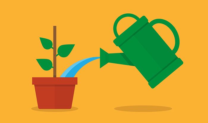 lead nurturing